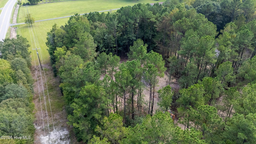 Photo of 0 Us Hwy 117 N #Remnant, Willard, NC 28478 (MLS # 100604618)