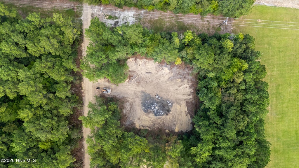 Photo of 0 Us Hwy 117 N #Remnant, Willard, NC 28478 (MLS # 100604618)