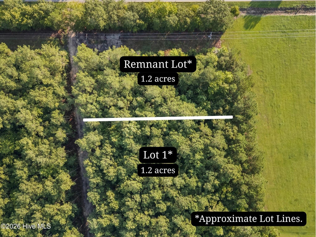 Photo of 0 Us Hwy 117 N #Remnant, Willard, NC 28478 (MLS # 100604618)
