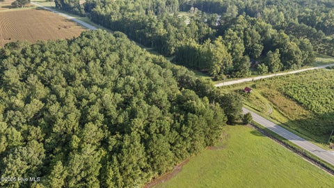 Tiny photo for 0 Us Hwy 117 N #Remnant, Willard, NC 28478 (MLS # 100604618)