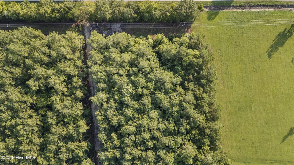 Photo of 0 Us Hwy 117 N #Remnant, Willard, NC 28478 (MLS # 100604618)