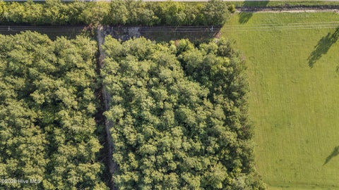 Photo of 0 Us Hwy 117 N #Remnant, Willard, NC 28478 (MLS # 100604618)