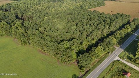 Tiny photo for 0 Us Hwy 117 N #Remnant, Willard, NC 28478 (MLS # 100604618)