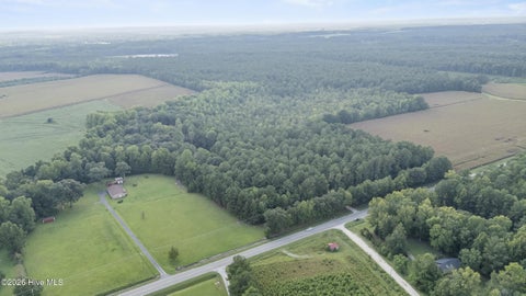 Tiny photo for 0 Us Hwy 117 N #Remnant, Willard, NC 28478 (MLS # 100604618)