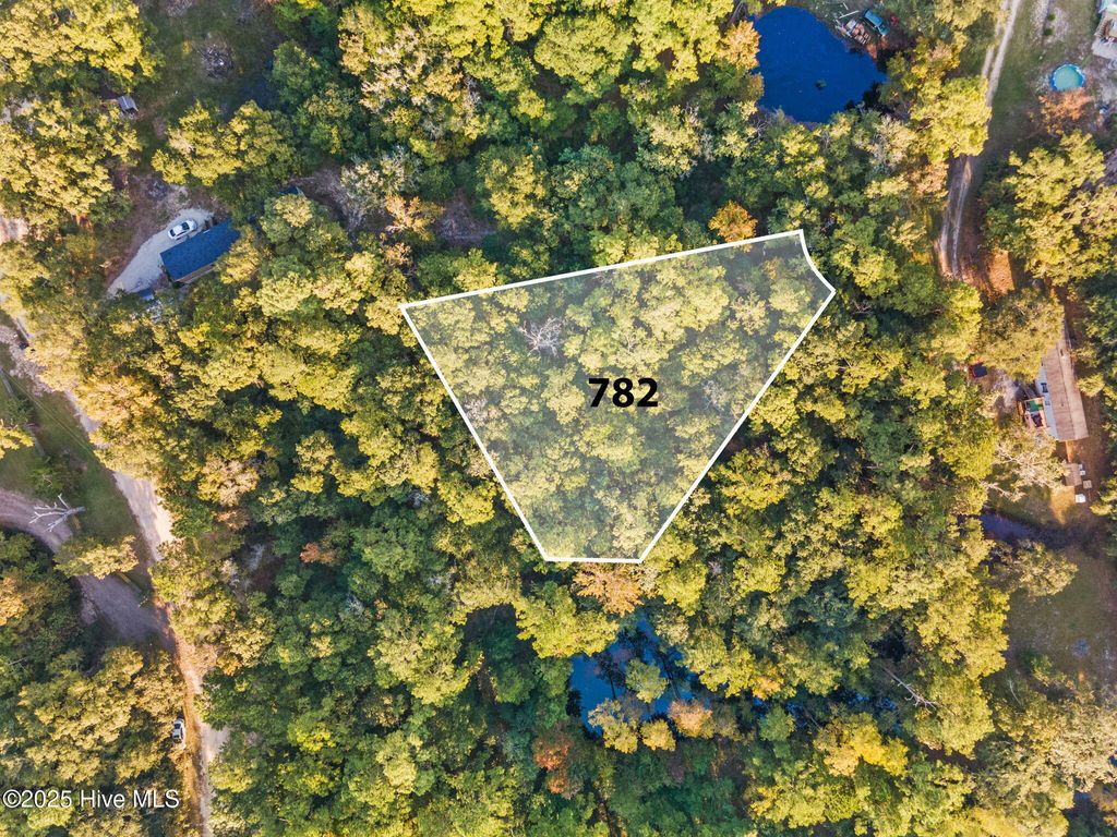 Photo of 782 Pondview Drive SE, Bolivia, NC 28422 (MLS # 100499613)