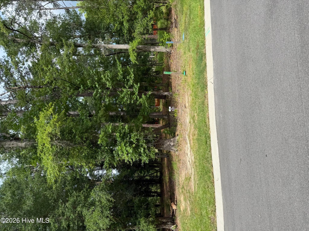 Photo of 3698 Excelsior Lane, Castle Hayne, NC 28429 (MLS # 100583124)