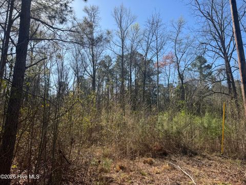 Tiny photo for 0 Little Prong Road NW, Ash, NC 28420 (MLS # 100560903)