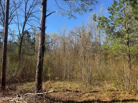 Tiny photo for 0 Little Prong Road NW, Ash, NC 28420 (MLS # 100560903)