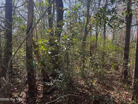 Tiny photo for 0 Little Prong Road NW, Ash, NC 28420 (MLS # 100560903)