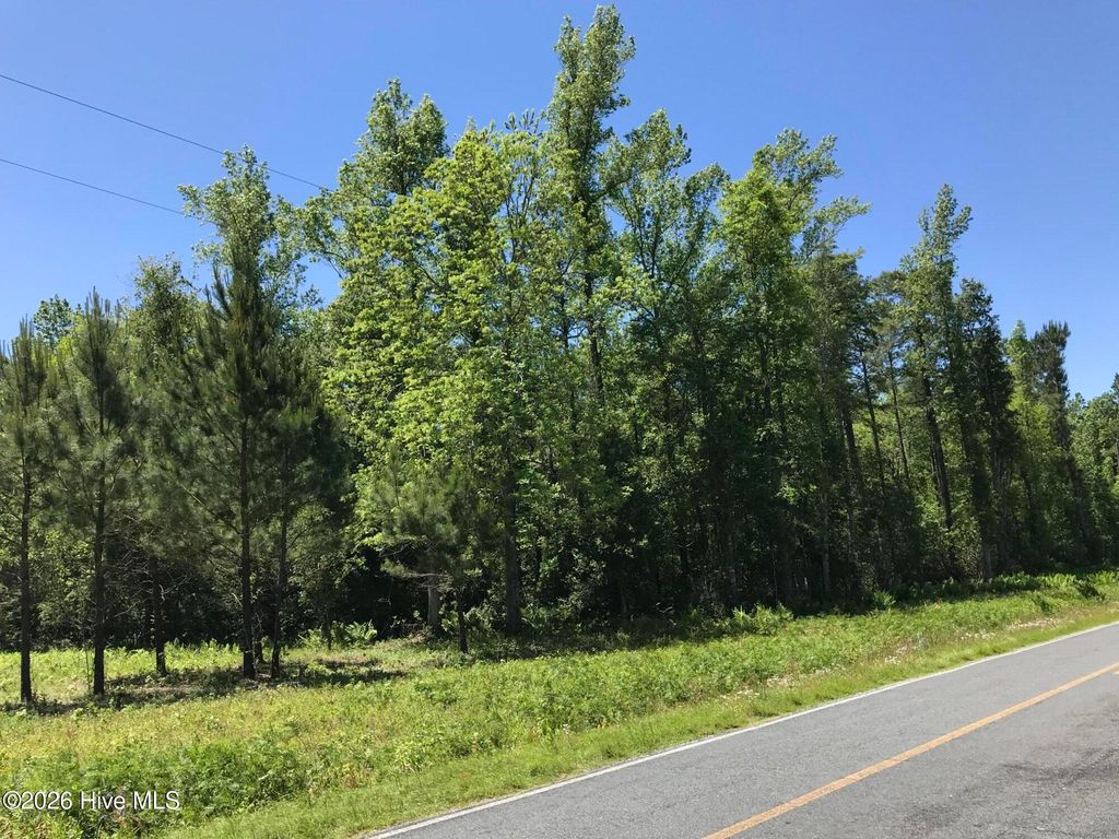 Photo of 0 Little Prong Road NW, Ash, NC 28420 (MLS # 100560903)