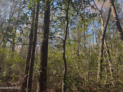 Tiny photo for 0 Little Prong Road NW, Ash, NC 28420 (MLS # 100560903)