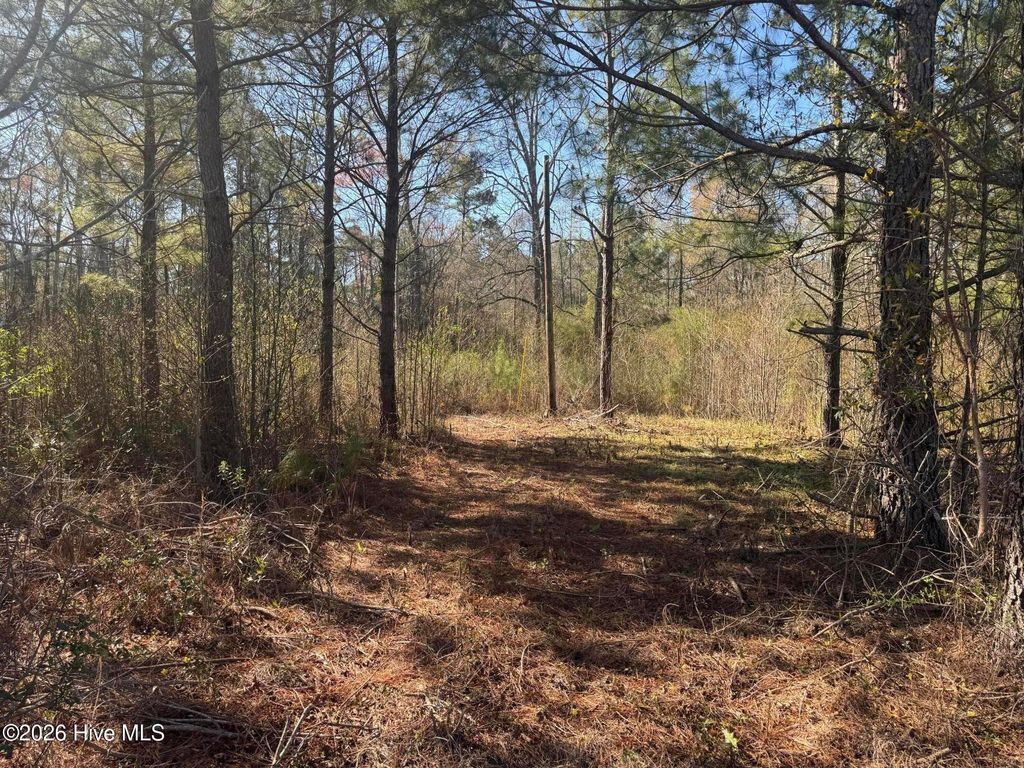 Photo of 0 Little Prong Road NW, Ash, NC 28420 (MLS # 100560903)