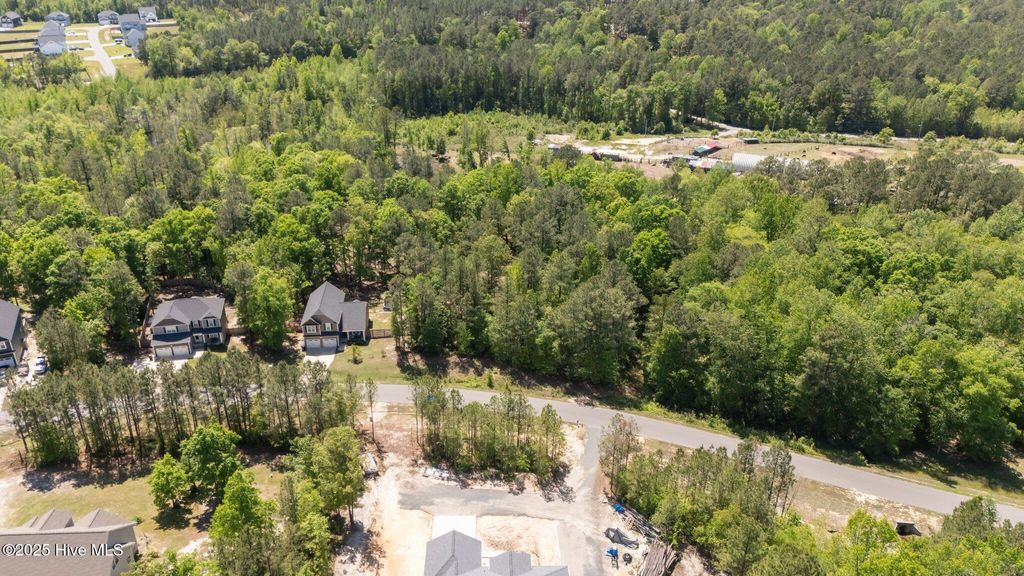 Photo of 219 Stella Way, Cameron, NC 28326 (MLS # 100504815)