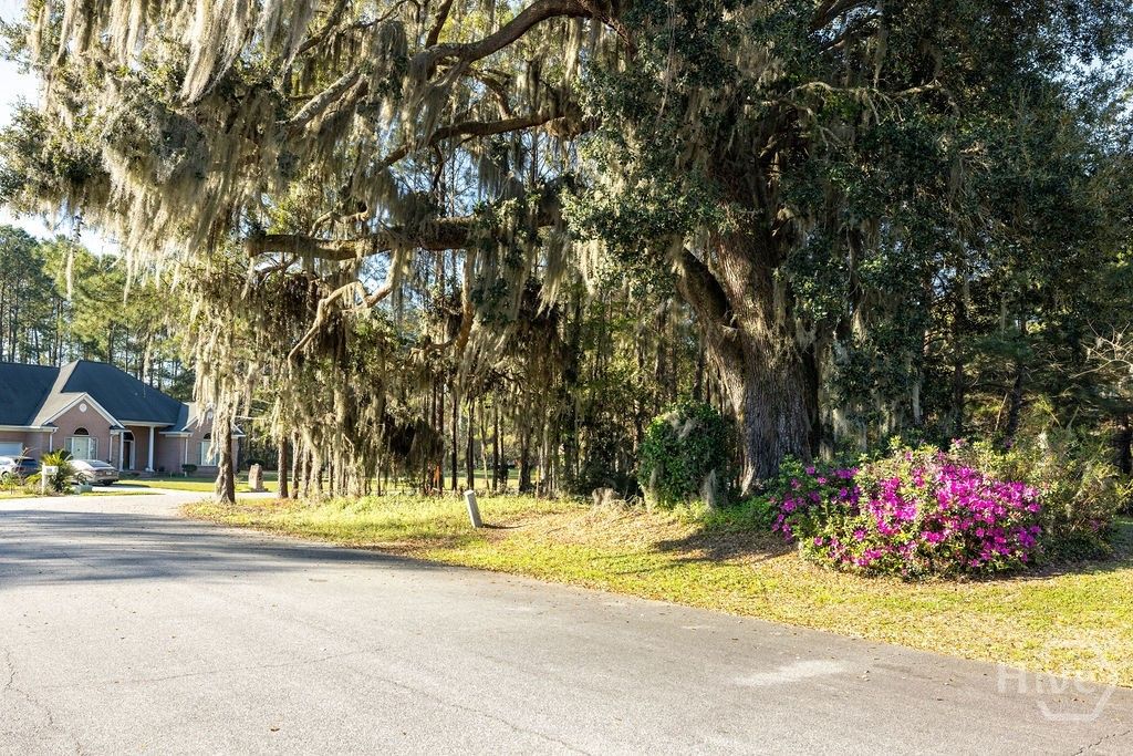 Photo of 317 Lakeshore Drive, Savannah, GA 31419 (MLS # SA351121)