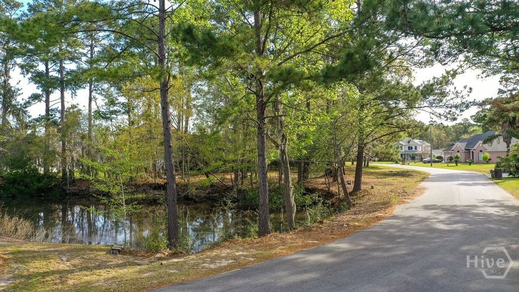 Photo of 317 Lakeshore Drive, Savannah, GA 31419 (MLS # SA351121)