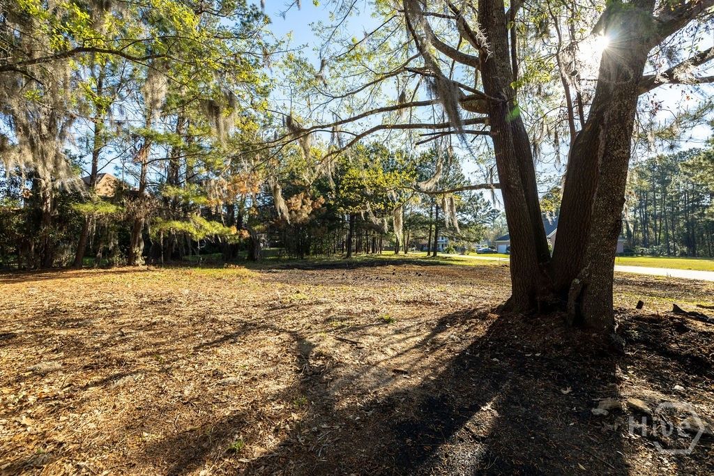 Photo of 317 Lakeshore Drive, Savannah, GA 31419 (MLS # SA351121)