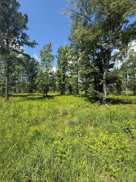 Vacant Land For Sale - 385 Shagbark Way<br/> Harlem, GA 30814