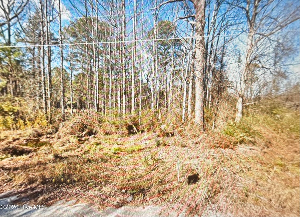 Photo of 8509 Candlebrush Drive, Linden, NC 28356 (MLS # 100585083)