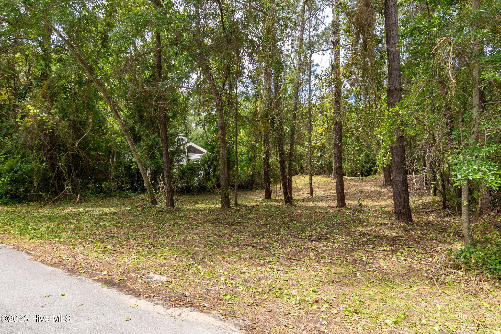 116 Hawthorne Drive