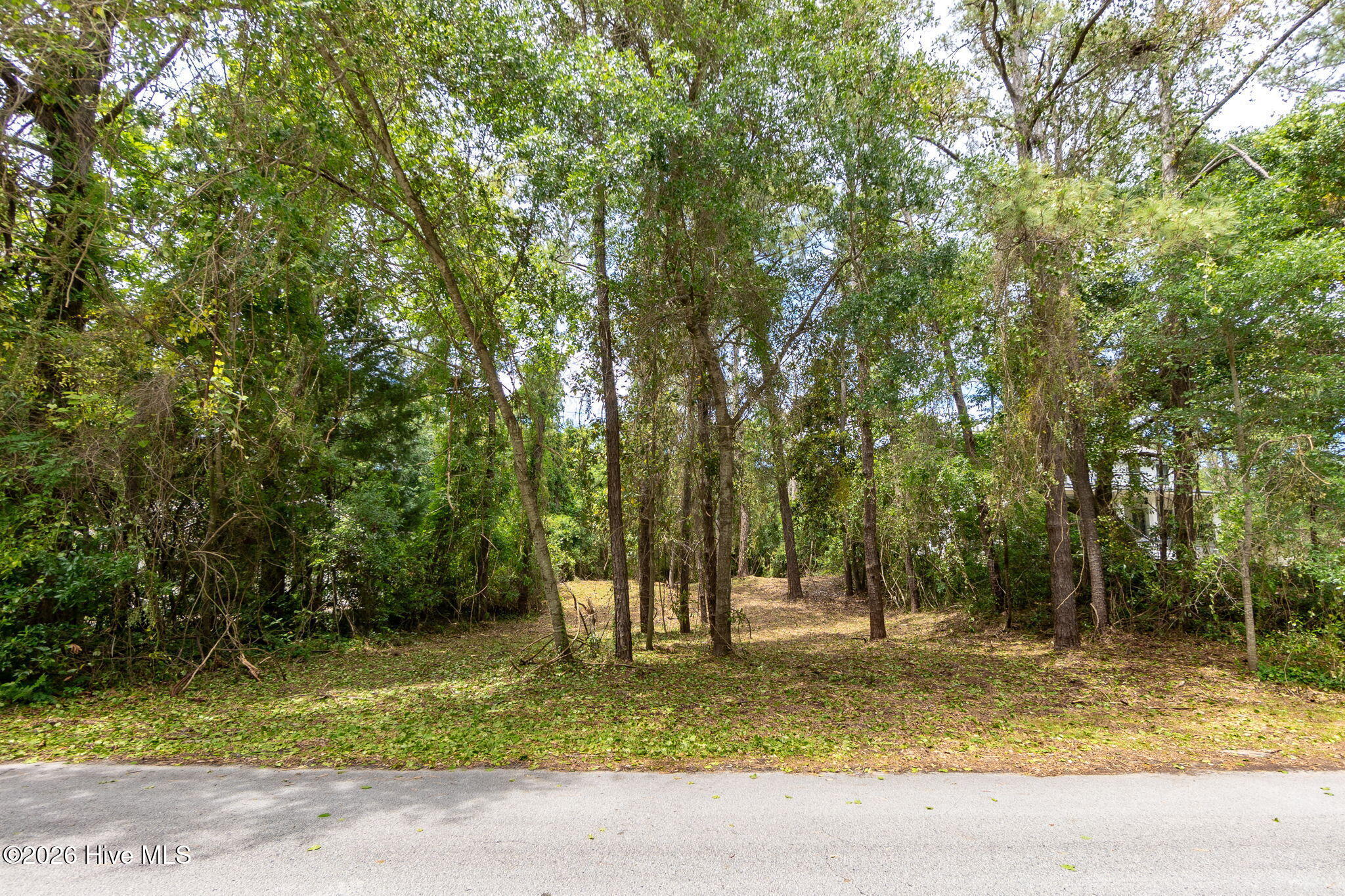 116 Hawthorne Drive