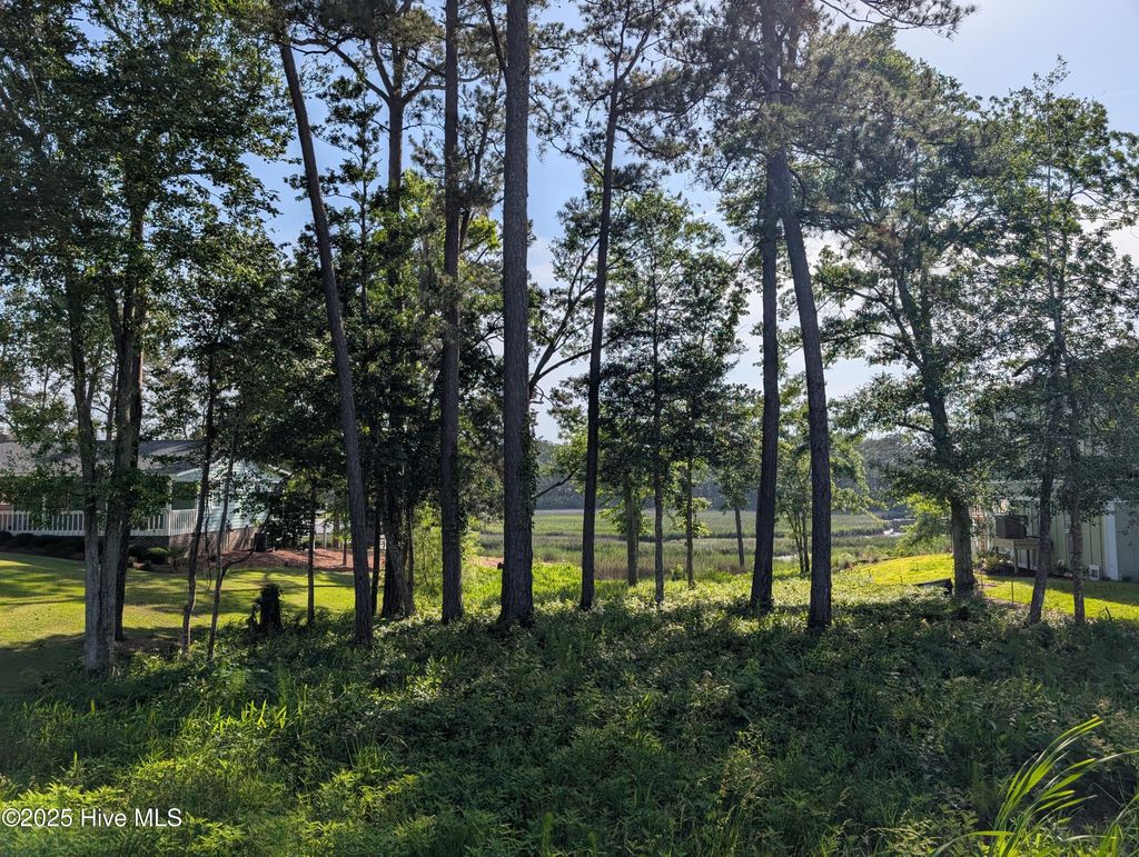Photo of 1743 Star Cross Drive SW, Shallotte, NC 28470 (MLS # 100574300)