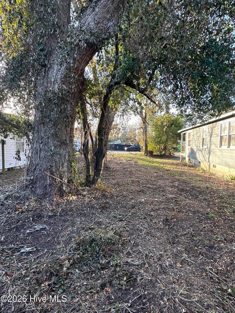 Photo of 3305 Princess Place Drive, Wilmington, NC 28405 (MLS # 100548781)