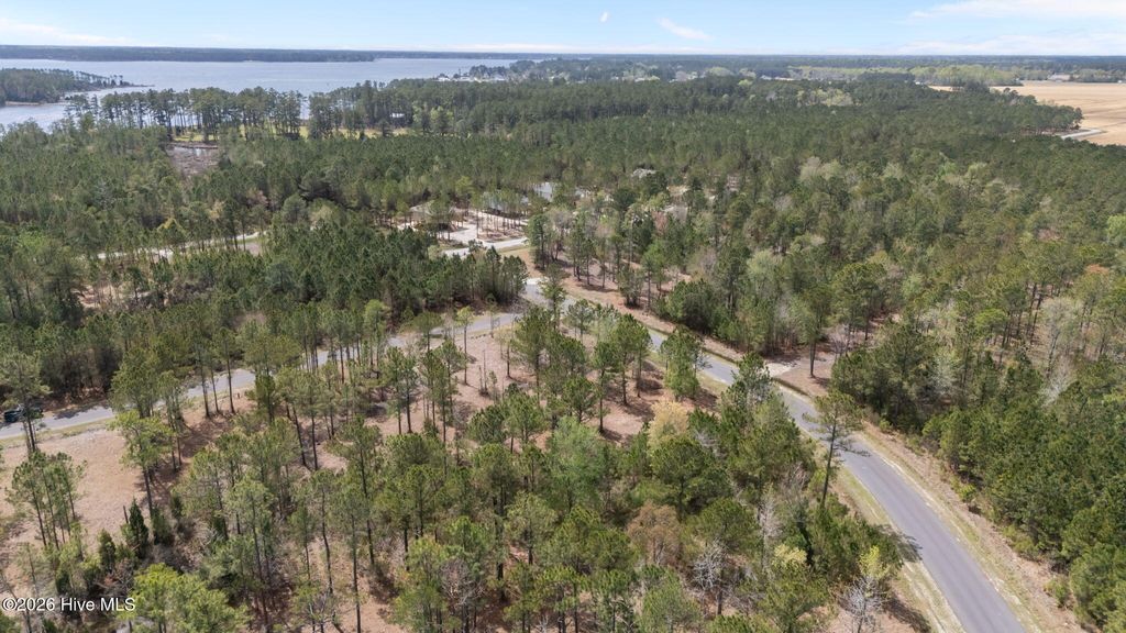 Photo of 78 Shell Castle Lane, Vandemere, NC 28587 (MLS # 100567393)