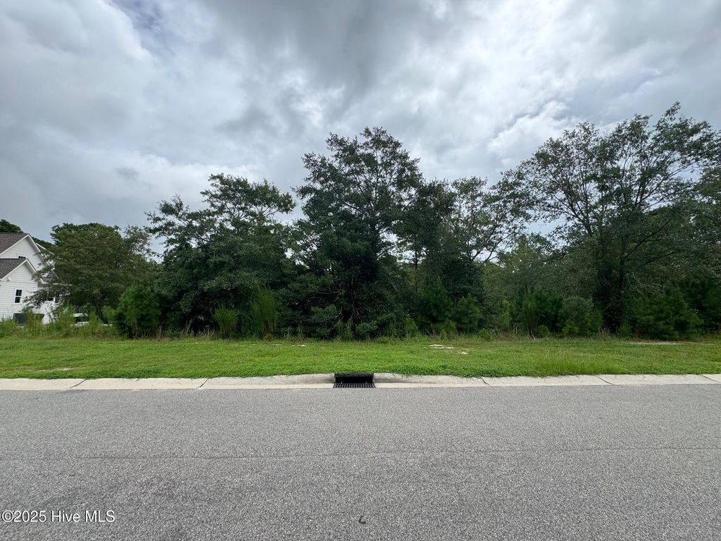 Photo of 3906 Bay Colony Road NE, Leland, NC 28451 (MLS # 100524362)