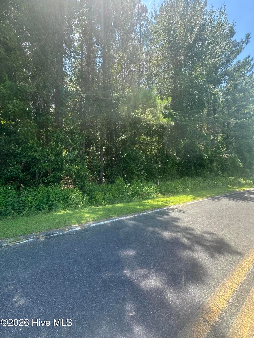 Photo of 721 Near 721 Joe Piver R Road, Chadbourn, NC 28431 (MLS # 100598129)