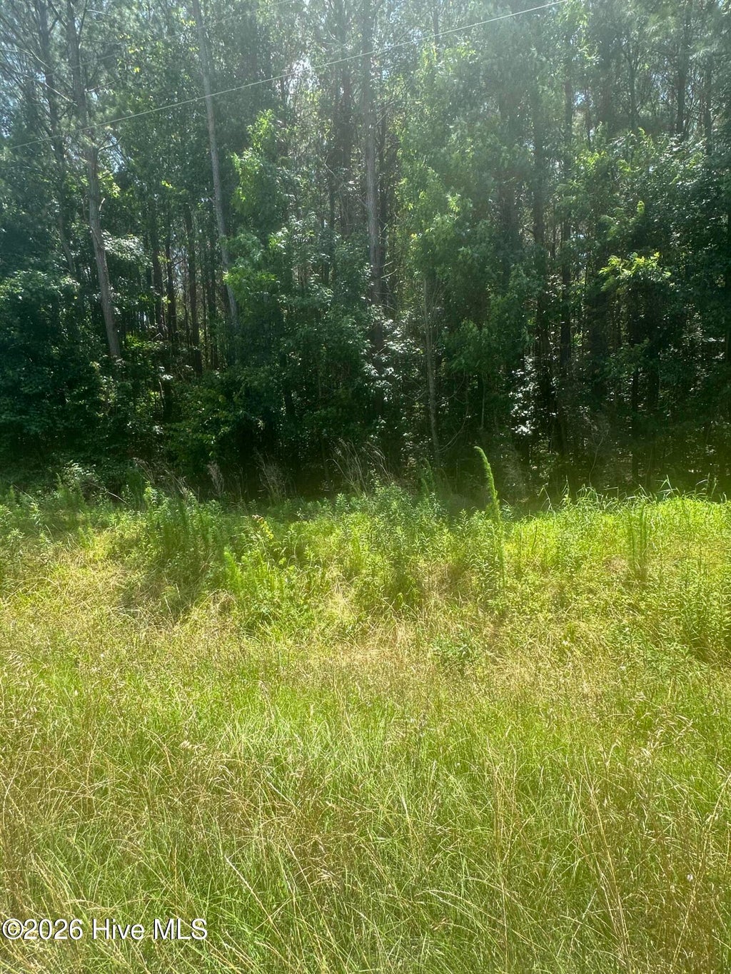 Photo of 721 Near 721 Joe Piver R Road, Chadbourn, NC 28431 (MLS # 100598129)