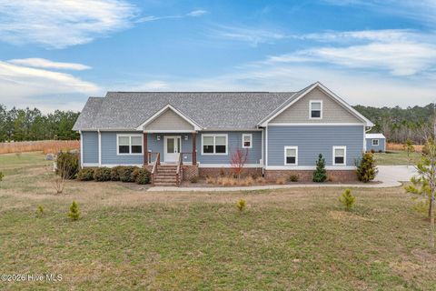 Photo of 3032 Piney Woods Road, Burgaw, NC 28425 (MLS # 100557645)