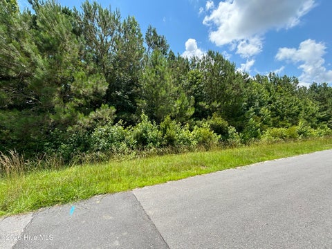 Photo of 0 Progress Drive, Burgaw, NC 28425 (MLS # 100586341)