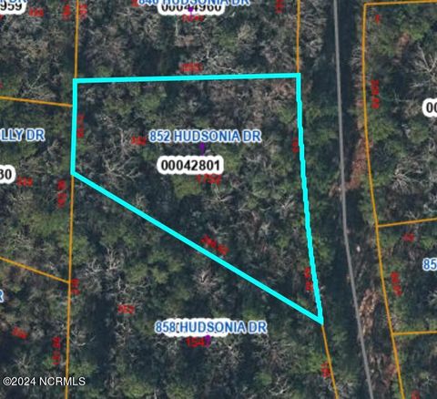 Vacant Land For Sale - 852 Hudsonia Drive<br/> Vass, NC 28394