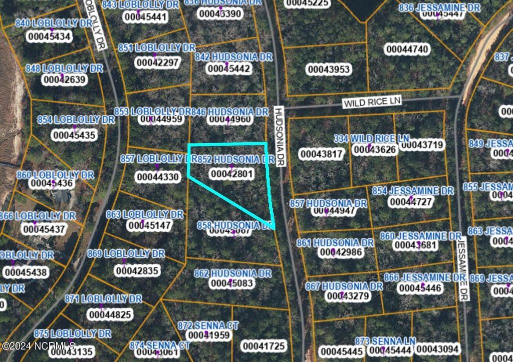 Photo of 852 Hudsonia Drive, Vass, NC 28394 (MLS # 100426418)