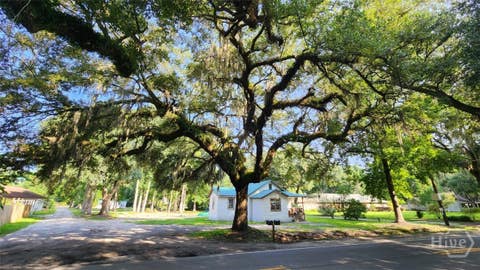 Homes For Sale - 8621 Ferguson Avenue<br/> Chatham County, Savannah, GA 31406