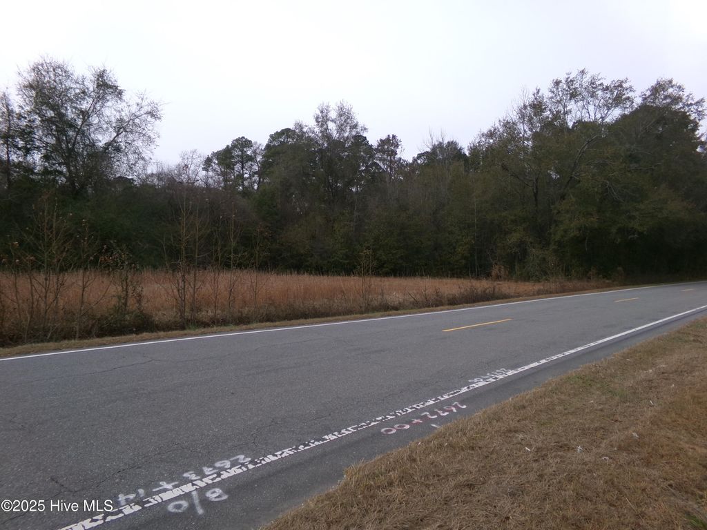 Photo of 1 Ivanhoe Road, Harrells, NC 28444 (MLS # 100546768)