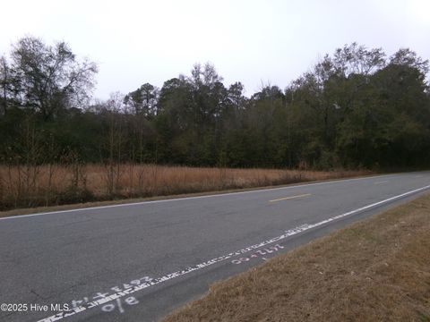Vacant Land For Sale - LOT 1 Ivanhoe Road<br/> Harrells, NC 28444