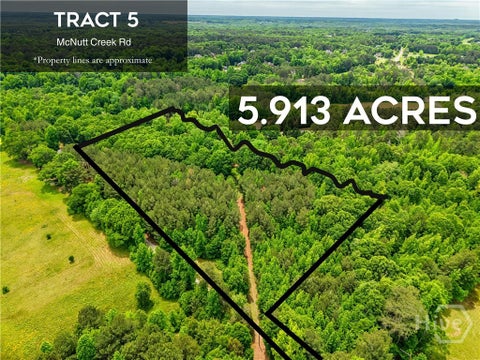 Vacant Land For Sale - TRACT 5 Mcnutt Creek Road<br/> Bogart, GA 30622