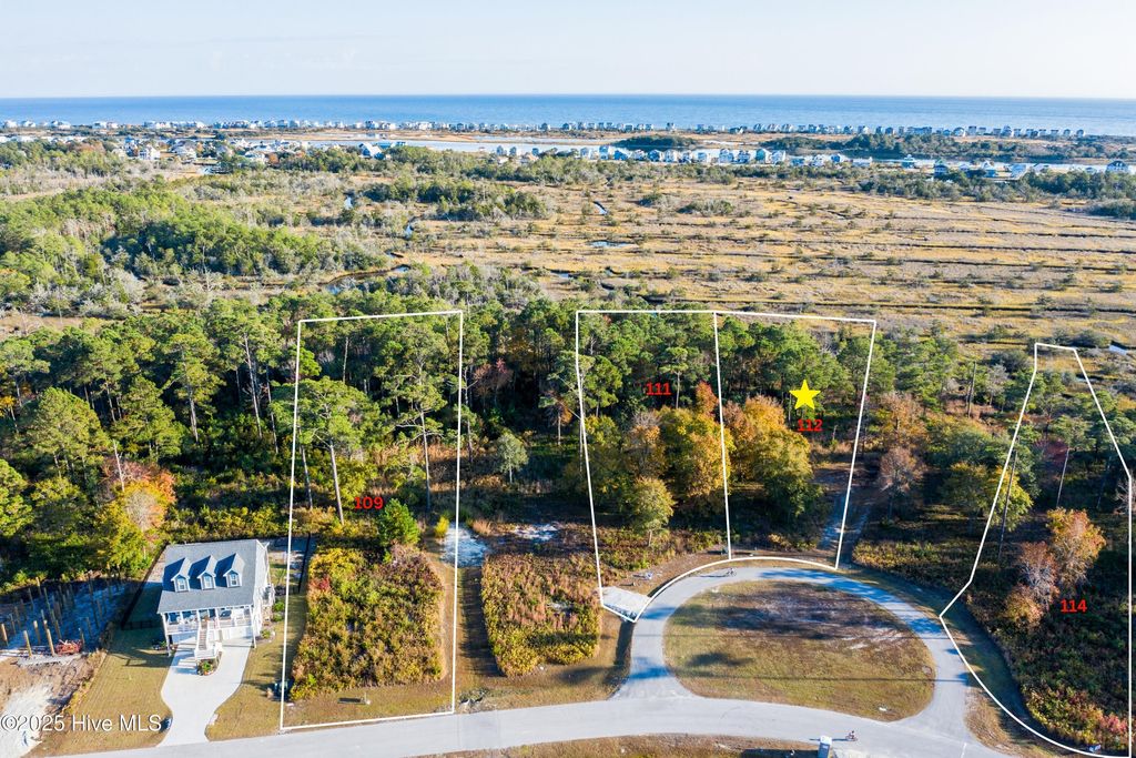 Photo of 329 Landon Lane, Sneads Ferry, NC 28460 (MLS # 100523727)