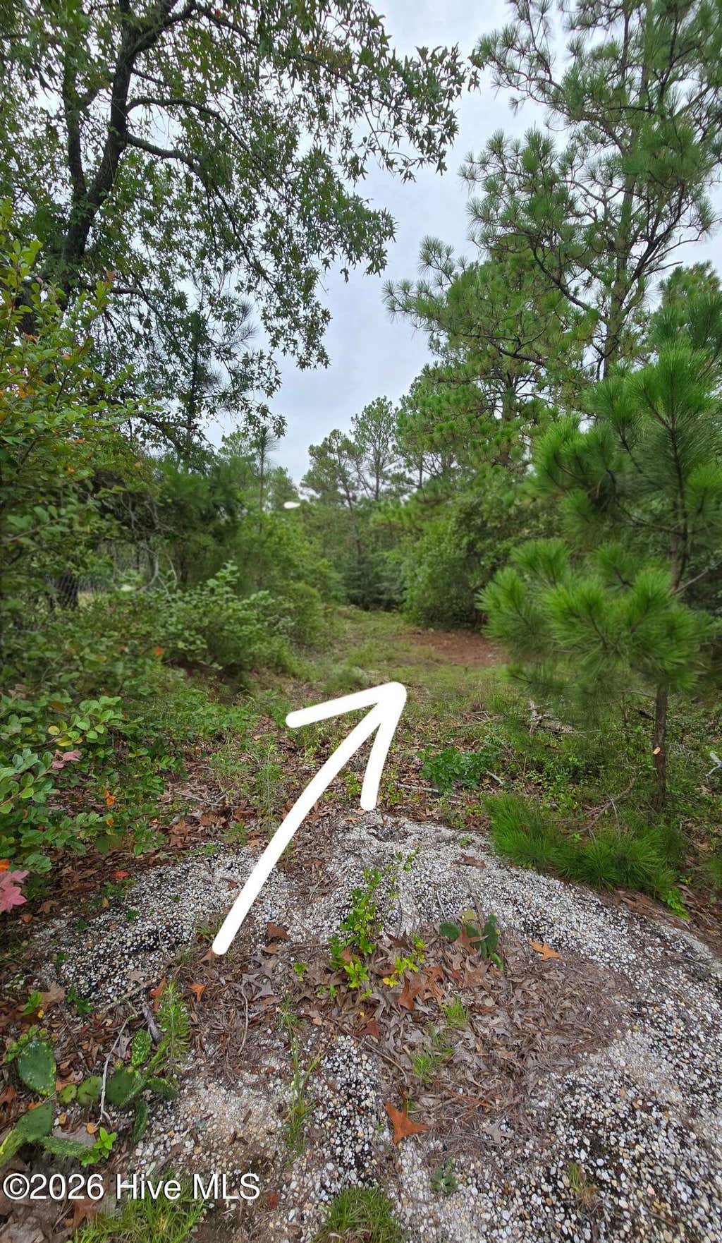 Photo of 910 Cleora Murray Drive, Aiken, SC 29801 (MLS # 100594000)