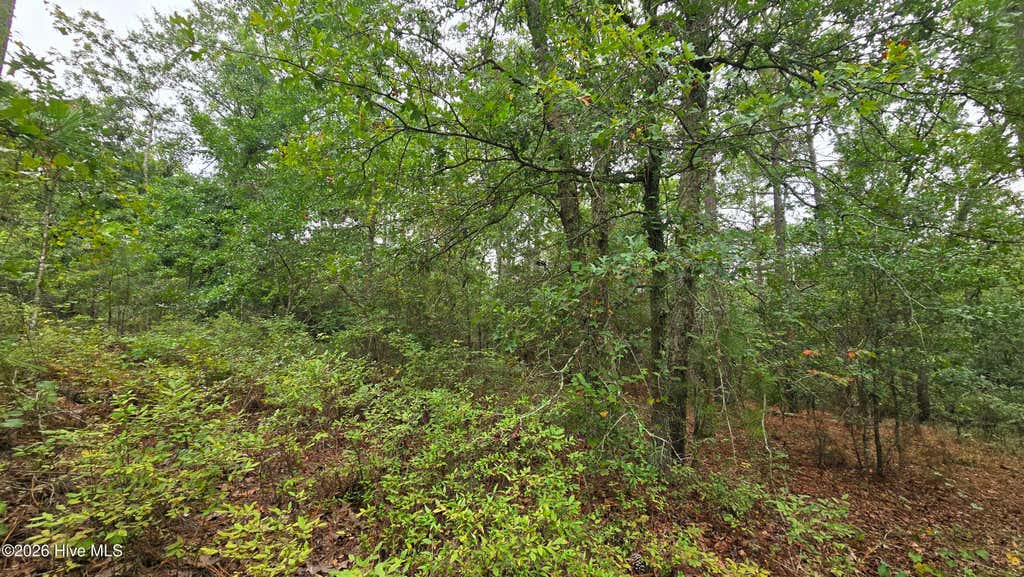 Photo of 910 Cleora Murray Drive, Aiken, SC 29801 (MLS # 100594000)
