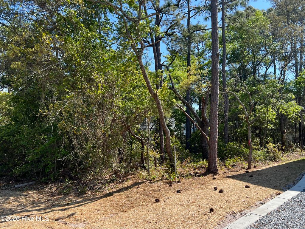 Photo of 306 NE 41st Street, Oak Island, NC 28465 (MLS # 100567712)