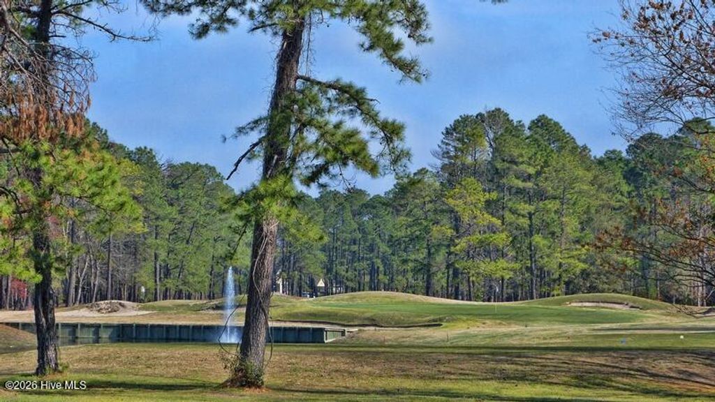 Photo of 901 Bee Tree Court, New Bern, NC 28560 (MLS # 100565431)