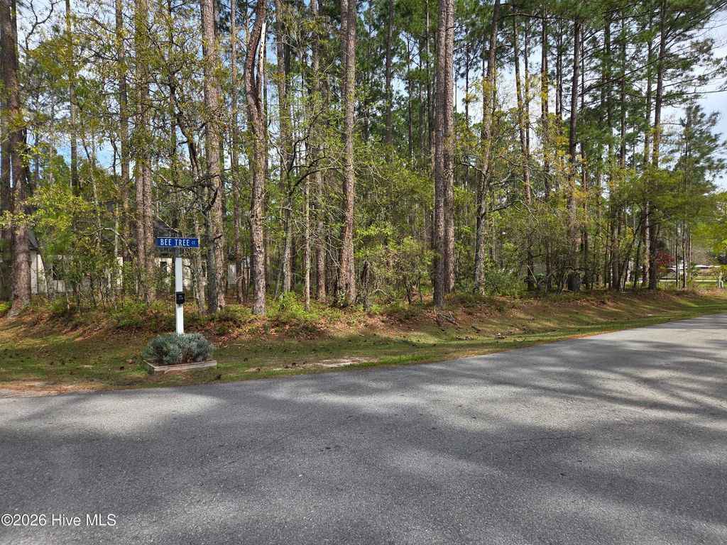 Photo of 901 Bee Tree Court, New Bern, NC 28560 (MLS # 100565431)