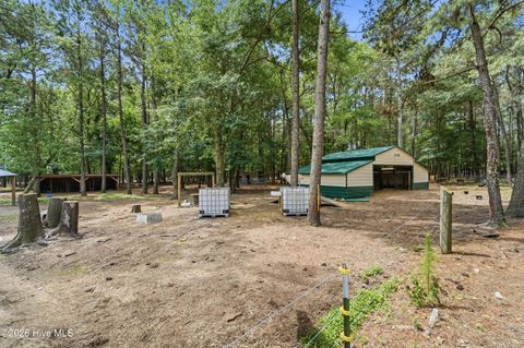 Tiny photo for 295 Mayberry Lane, Richlands, NC 28574 (MLS # 100573846)