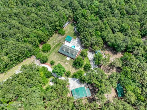 Tiny photo for 295 Mayberry Lane, Richlands, NC 28574 (MLS # 100573846)