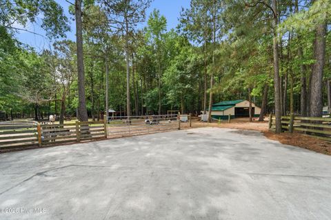 Tiny photo for 295 Mayberry Lane, Richlands, NC 28574 (MLS # 100573846)