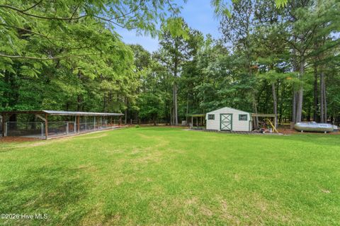 Tiny photo for 295 Mayberry Lane, Richlands, NC 28574 (MLS # 100573846)