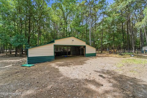 Tiny photo for 295 Mayberry Lane, Richlands, NC 28574 (MLS # 100573846)
