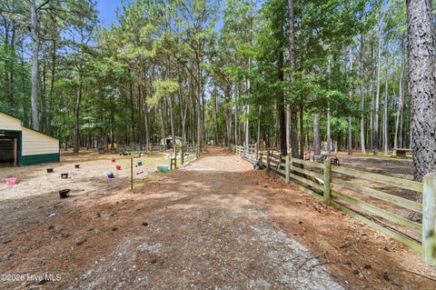 Tiny photo for 295 Mayberry Lane, Richlands, NC 28574 (MLS # 100573846)